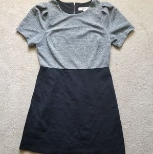LOFT dress. Size 8. Great professional look.